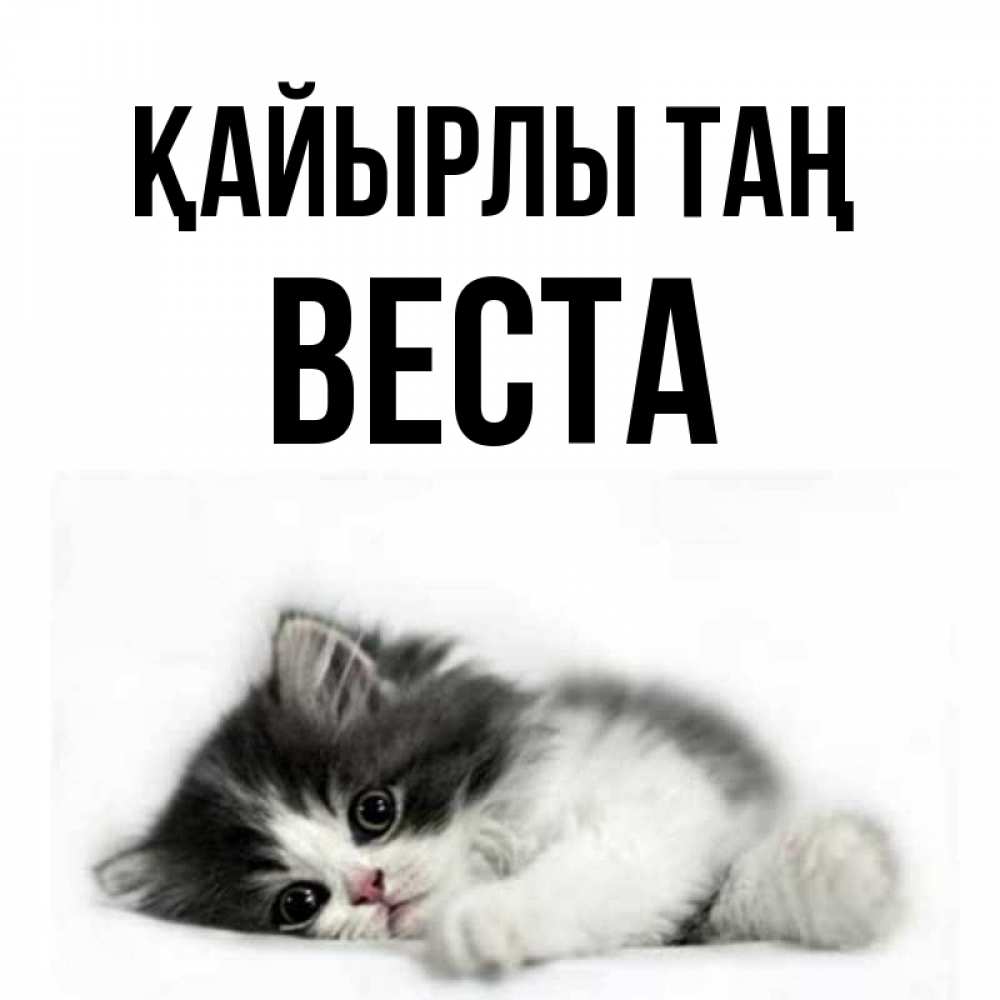 Күн сайын ашық хат с именем, Веста Қайырлы таң кот лапки Онлайн тегін жүктеп алу тілектері бар керемет карта 