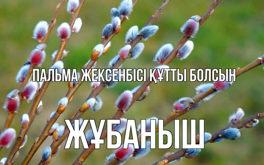 Күн сайын ашық хат с именем, Жұбаныш Пальма жексенбісі құтты болсын верба Онлайн тегін жүктеп алу тілектері бар керемет карта 