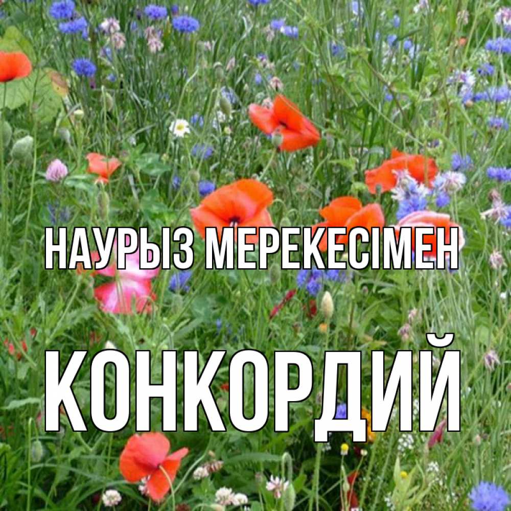 Күн сайын ашық хат с именем, Конкордий Наурыз мерекесімен праздник весны наурыз супер открытка Онлайн тегін жүктеп алу тілектері бар керемет карта 