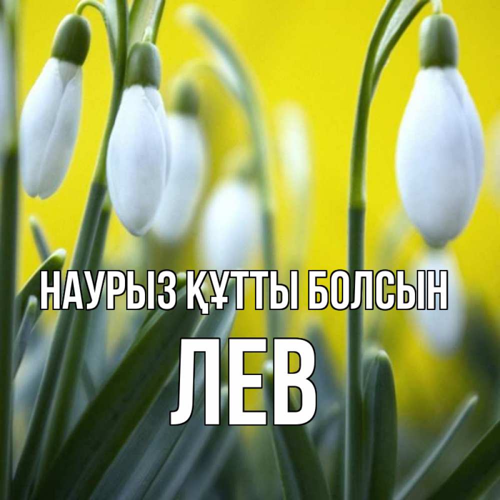 Күн сайын ашық хат с именем, Лев Наурыз құтты болсын весенние цветы Онлайн тегін жүктеп алу тілектері бар керемет карта 