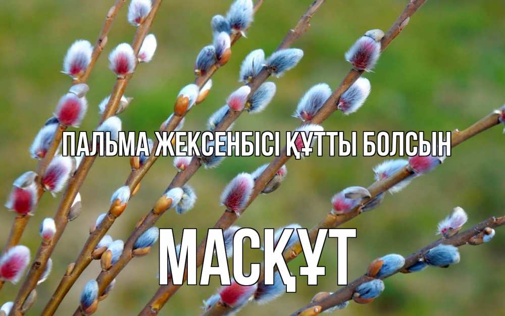 Күн сайын ашық хат с именем, МАСҚҰТ Пальма жексенбісі құтты болсын верба Онлайн тегін жүктеп алу тілектері бар керемет карта 