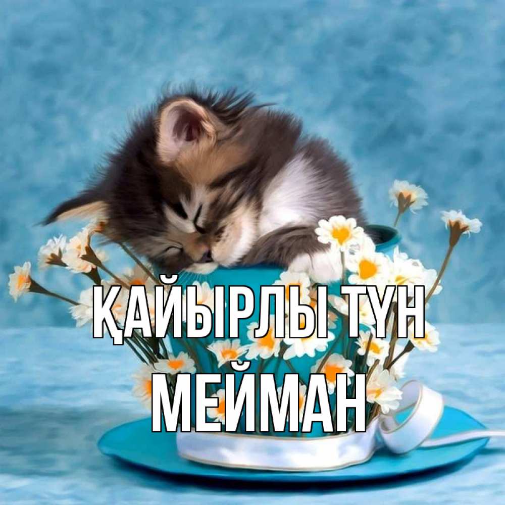 Күн сайын ашық хат с именем, МЕЙМАН Қайырлы түн котенок спит в кружке с блюдцем Онлайн тегін жүктеп алу тілектері бар керемет карта 