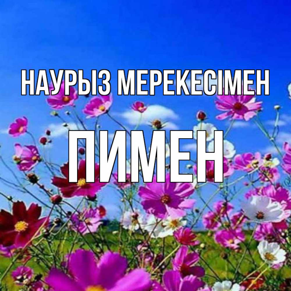 Күн сайын ашық хат с именем, Пимен Наурыз мерекесімен цветы Онлайн тегін жүктеп алу тілектері бар керемет карта 