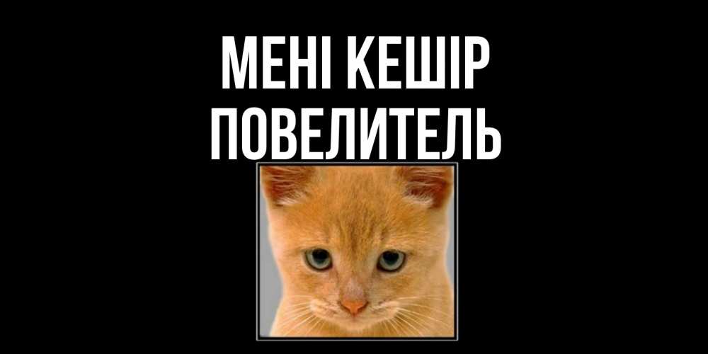 Күн сайын ашық хат с именем, Повелитель Мені кешір рыжий грустный кот просит прощения Онлайн тегін жүктеп алу тілектері бар керемет карта 