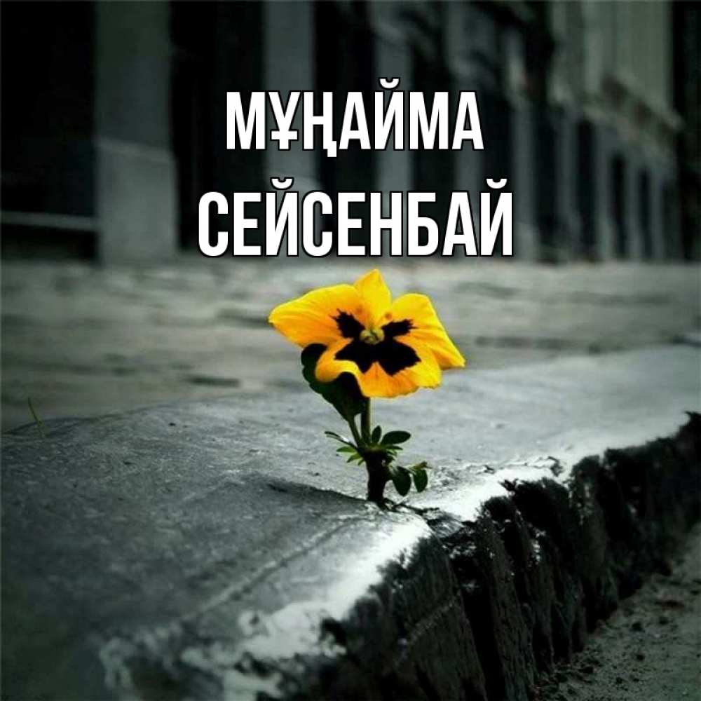 Күн сайын ашық хат с именем, СЕЙСЕНБАЙ Мұңайма не сдавайся Онлайн тегін жүктеп алу тілектері бар керемет карта 