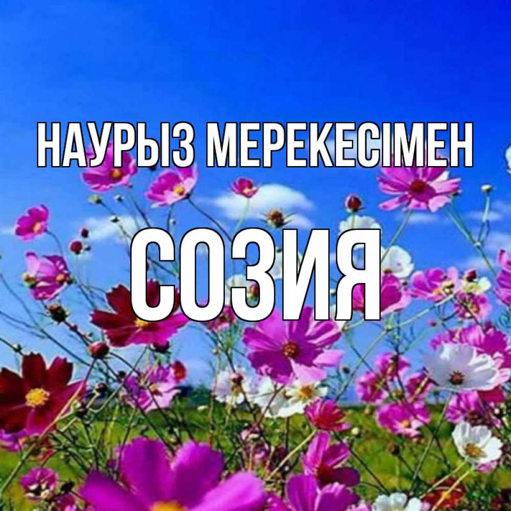 Күн сайын ашық хат с именем, Созия Наурыз мерекесімен цветы Онлайн тегін жүктеп алу тілектері бар керемет карта 
