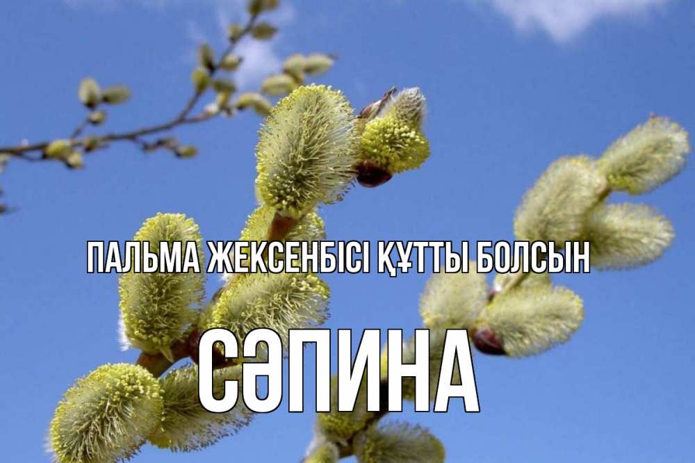 Күн сайын ашық хат с именем, СӘПИНА Пальма жексенбісі құтты болсын верба Онлайн тегін жүктеп алу тілектері бар керемет карта 