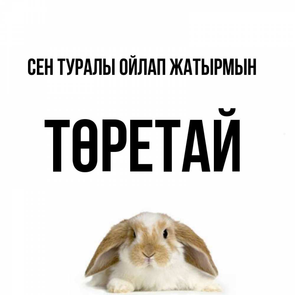 Күн сайын ашық хат с именем, Төретай Сен туралы ойлап жатырмын подписать своими руками онлайн Онлайн тегін жүктеп алу тілектері бар керемет карта 