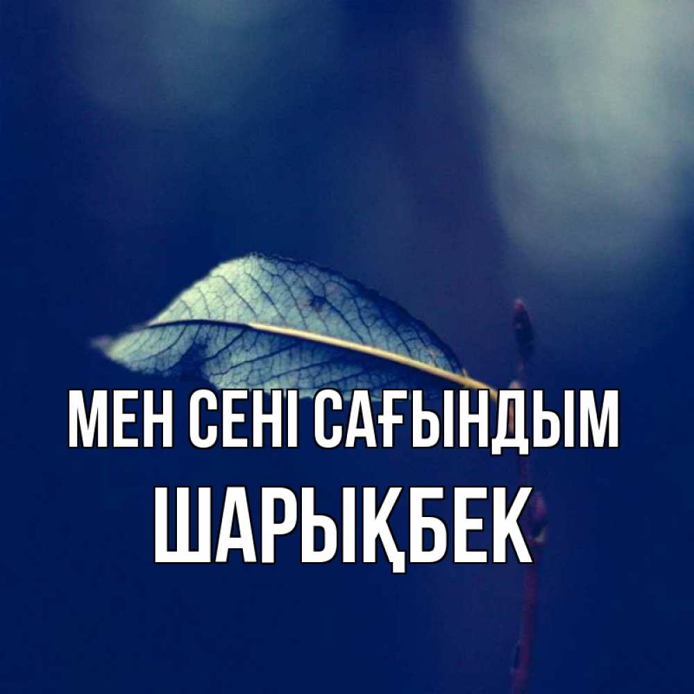 Күн сайын ашық хат с именем, ШАРЫҚБЕК Мен сені сағындым одна ветка 1 Онлайн тегін жүктеп алу тілектері бар керемет карта 