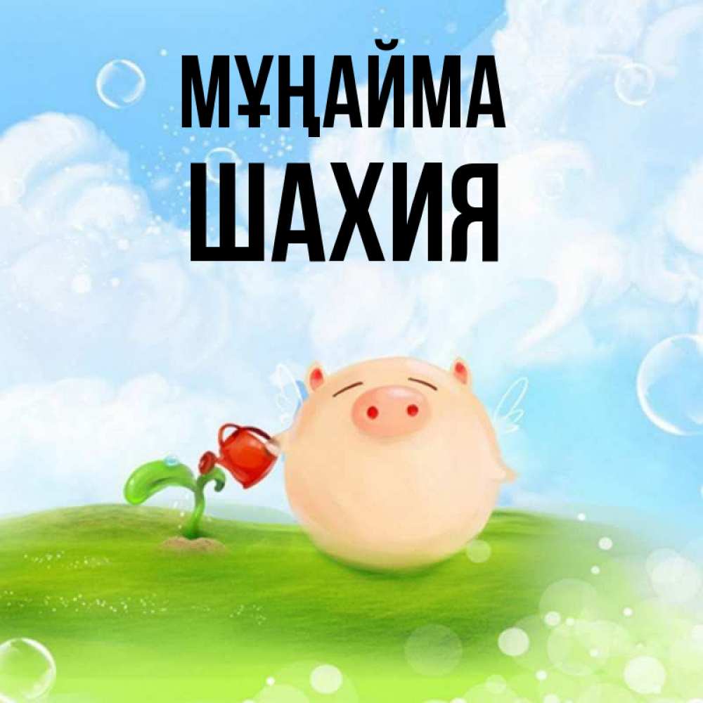 Күн сайын ашық хат с именем, ШАХИЯ Мұңайма поливает цветок порося Онлайн тегін жүктеп алу тілектері бар керемет карта 