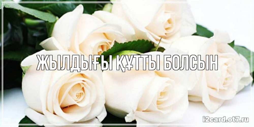 Күн сайын ашық хат с именем, выберите-имя Жылдығы құтты болсын открытка с красивыми белыми розами для родных Онлайн тегін жүктеп алу тілектері бар керемет карта 