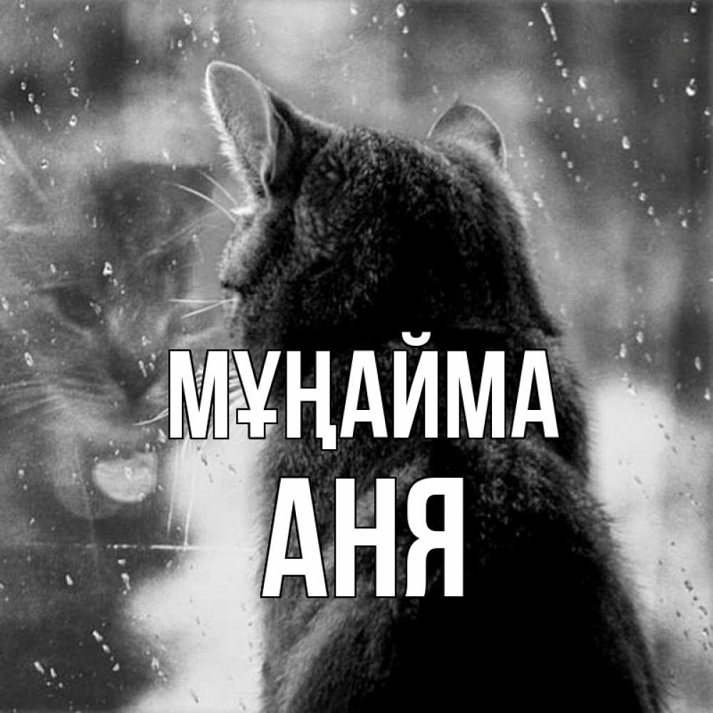 Күн сайын ашық хат с именем, Аня Мұңайма отражение кота 1 Онлайн тегін жүктеп алу тілектері бар керемет карта 