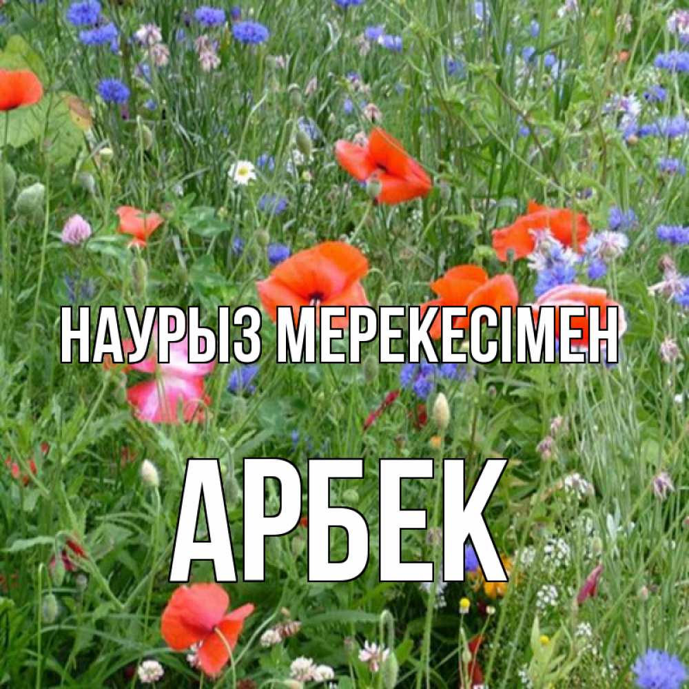 Күн сайын ашық хат с именем, Арбек Наурыз мерекесімен праздник весны наурыз супер открытка Онлайн тегін жүктеп алу тілектері бар керемет карта 