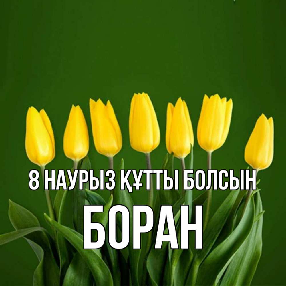 Күн сайын ашық хат с именем, Боран 8 наурыз құтты болсын желтого цвета 3 Онлайн тегін жүктеп алу тілектері бар керемет карта 
