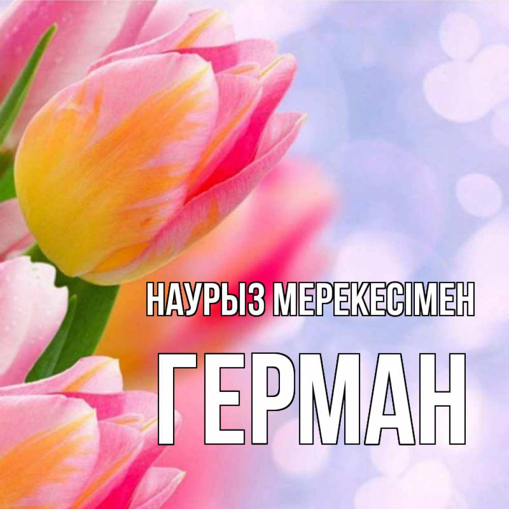 Күн сайын ашық хат с именем, Герман Наурыз мерекесімен тюльпаны 2 Онлайн тегін жүктеп алу тілектері бар керемет карта 
