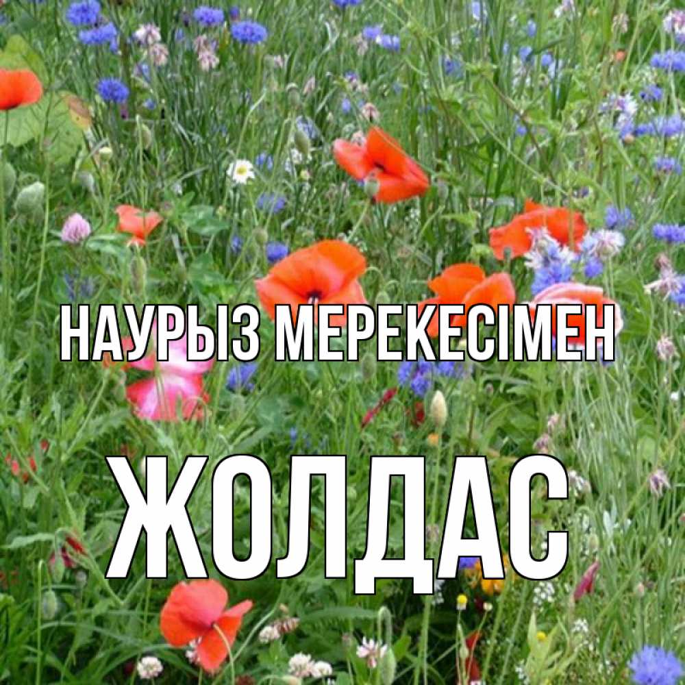 Күн сайын ашық хат с именем, Жолдас Наурыз мерекесімен праздник весны наурыз супер открытка Онлайн тегін жүктеп алу тілектері бар керемет карта 