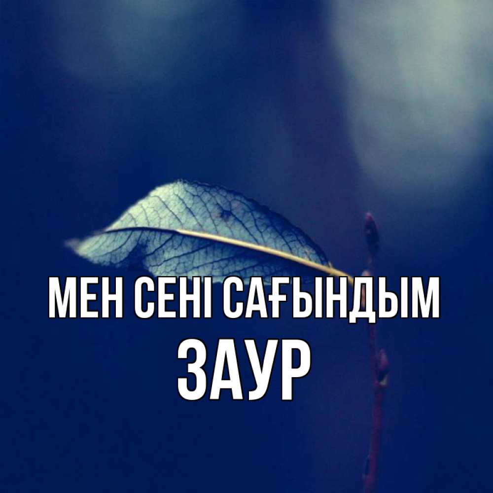 Күн сайын ашық хат с именем, Заур Мен сені сағындым одна ветка 1 Онлайн тегін жүктеп алу тілектері бар керемет карта 