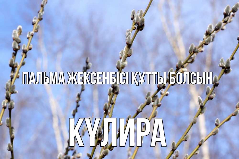 Күн сайын ашық хат с именем, КҮЛИРА Пальма жексенбісі құтты болсын верба Онлайн тегін жүктеп алу тілектері бар керемет карта 