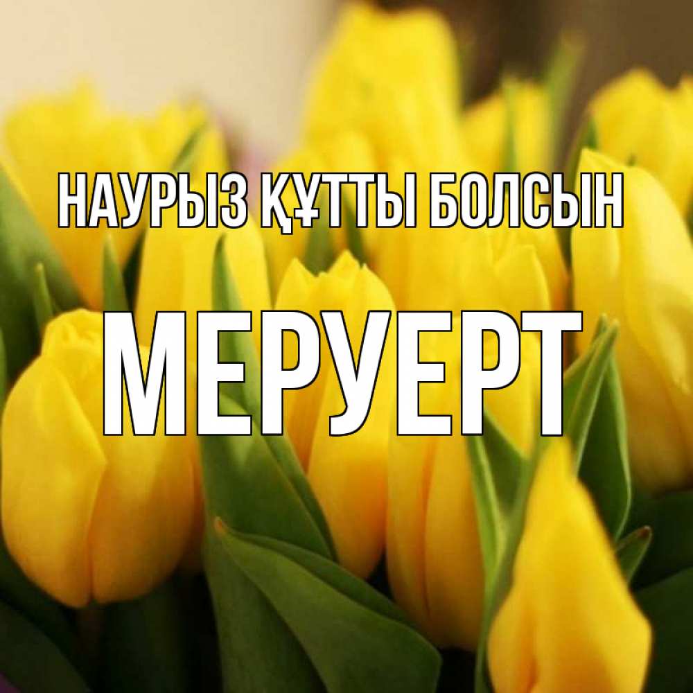 Күн сайын ашық хат с именем, МЕРУЕРТ Наурыз құтты болсын цветы Онлайн тегін жүктеп алу тілектері бар керемет карта 