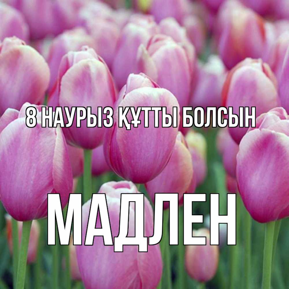 Күн сайын ашық хат с именем, Мадлен 8 наурыз құтты болсын на международный женский день 3 Онлайн тегін жүктеп алу тілектері бар керемет карта 