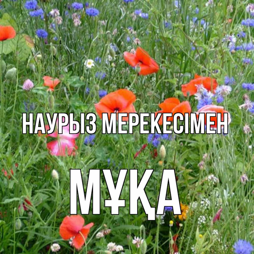 Күн сайын ашық хат с именем, МҰҚА Наурыз мерекесімен праздник весны наурыз супер открытка Онлайн тегін жүктеп алу тілектері бар керемет карта 