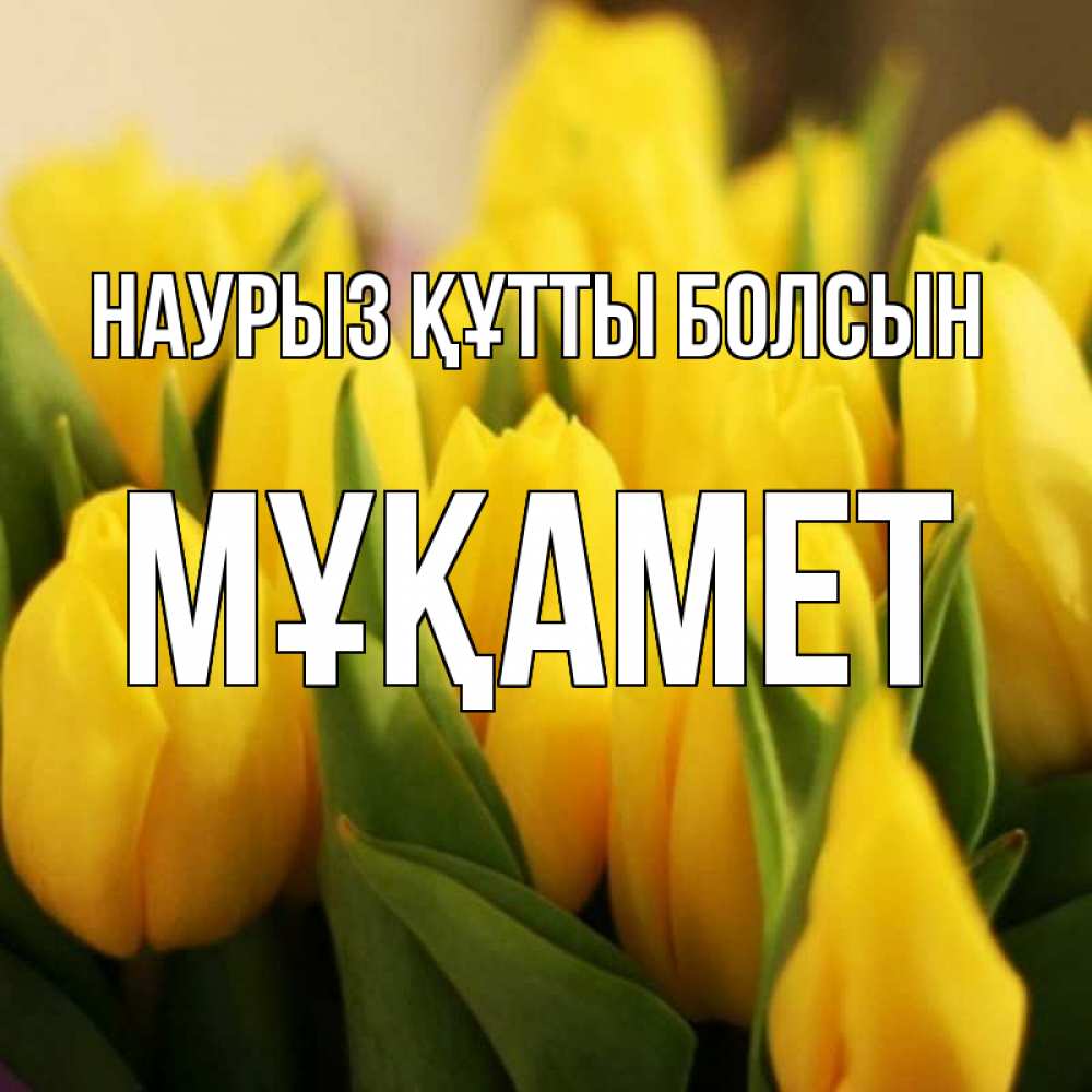 Күн сайын ашық хат с именем, МҰҚАМЕТ Наурыз құтты болсын цветы Онлайн тегін жүктеп алу тілектері бар керемет карта 