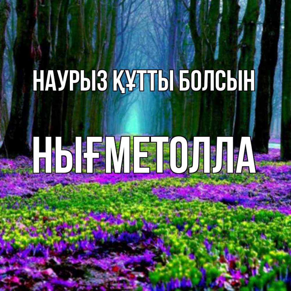 Күн сайын ашық хат с именем, НЫҒМЕТОЛЛА Наурыз құтты болсын фиолетовые цветы в лесу 1 Онлайн тегін жүктеп алу тілектері бар керемет карта 