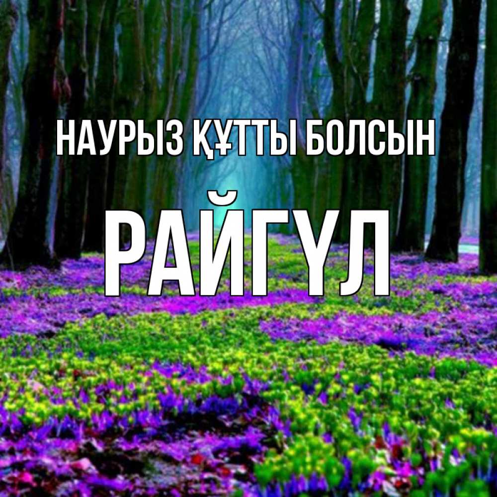 Күн сайын ашық хат с именем, РАЙГҮЛ Наурыз құтты болсын фиолетовые цветы в лесу 1 Онлайн тегін жүктеп алу тілектері бар керемет карта 