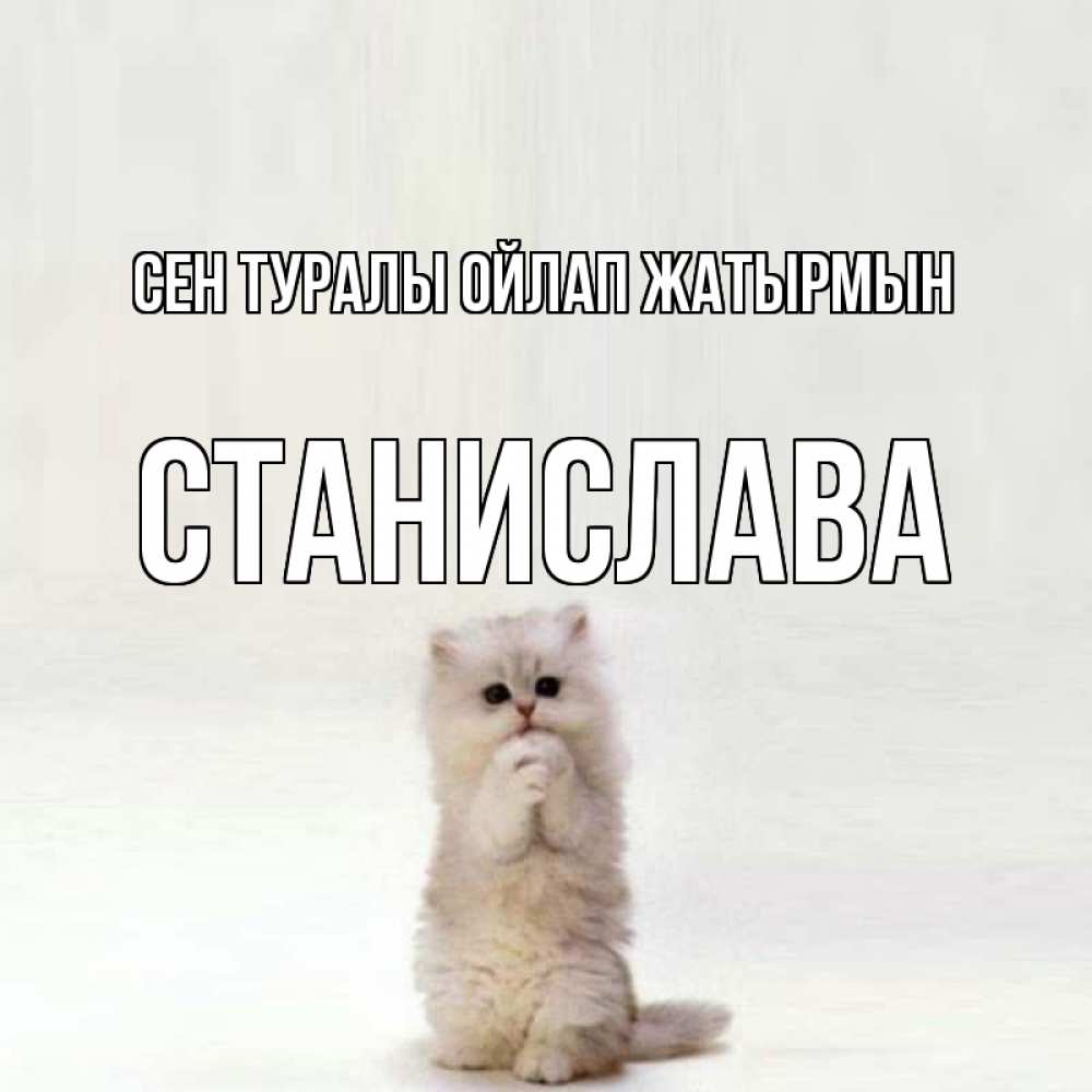 Күн сайын ашық хат с именем, Станислава Сен туралы ойлап жатырмын кот стоит на задних лапах Онлайн тегін жүктеп алу тілектері бар керемет карта 