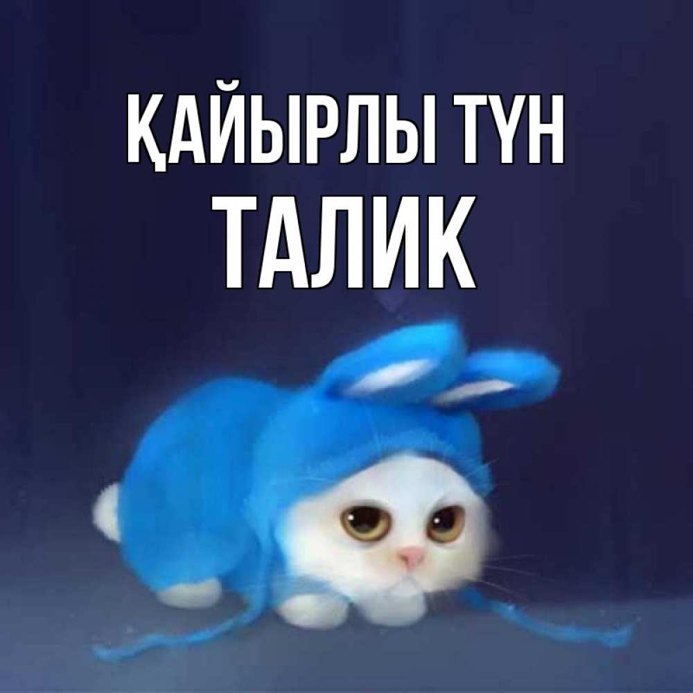 Күн сайын ашық хат с именем, Талик Қайырлы түн кот в голубом костюме кролика с ушками Онлайн тегін жүктеп алу тілектері бар керемет карта 