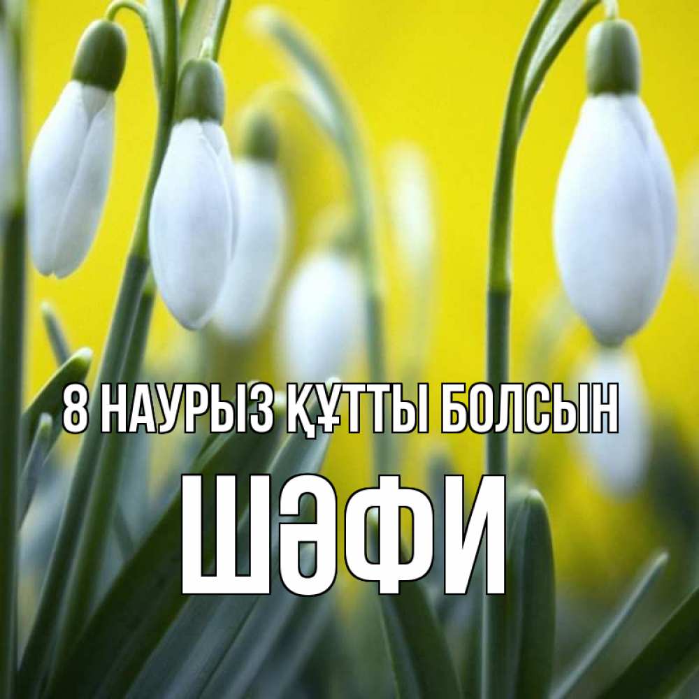 Күн сайын ашық хат с именем, ШӘФИ 8 наурыз құтты болсын весенние цветы Онлайн тегін жүктеп алу тілектері бар керемет карта 