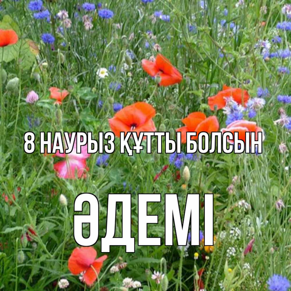 Күн сайын ашық хат с именем, ӘДЕМІ 8 наурыз құтты болсын международный женский день 4 Онлайн тегін жүктеп алу тілектері бар керемет карта 