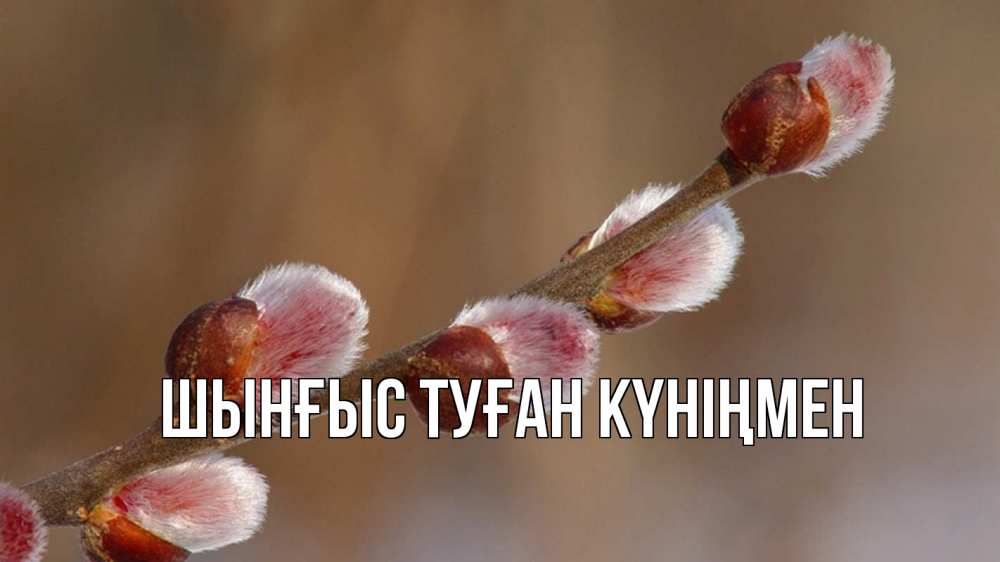 Картинка  с именем , ШЫНҒЫС! ТУҒАН КҮНІҢМЕН!