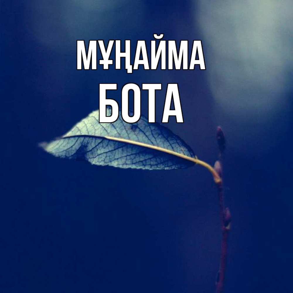 Күн сайын ашық хат с именем, БОТА Мұңайма растение Онлайн тегін жүктеп алу тілектері бар керемет карта 