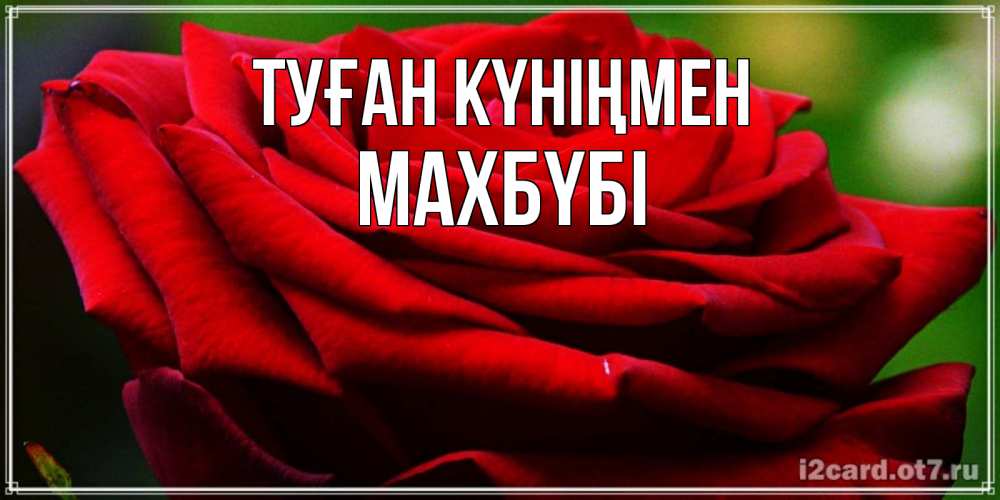 Күн сайын ашық хат с именем, МАХБҮБІ Туған күніңмен розочка очень красивая Онлайн тегін жүктеп алу тілектері бар керемет карта 