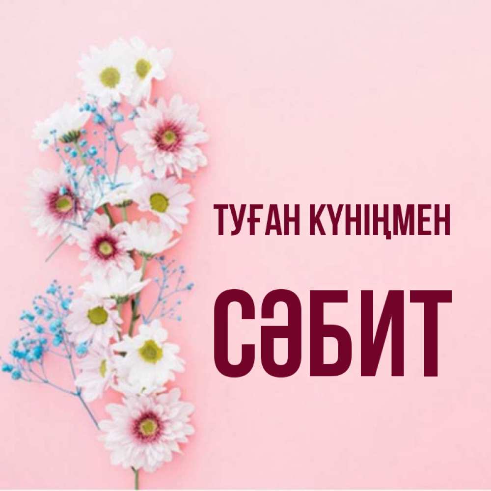 Күн сайын ашық хат с именем, СӘБИТ Туған күніңмен Родная моя с днем рождения тебя картинка с цветами белыми и голубыми Онлайн тегін жүктеп алу тілектері бар керемет карта 