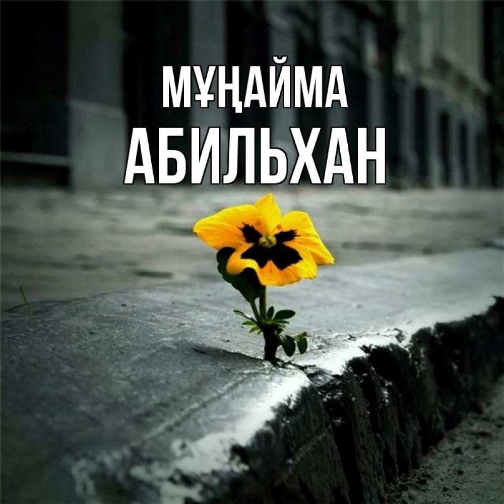 Күн сайын ашық хат с именем, Абильхан Мұңайма не сдавайся Онлайн тегін жүктеп алу тілектері бар керемет карта 