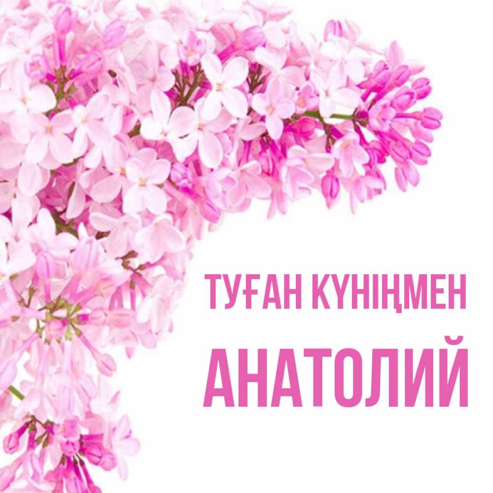 Күн сайын ашық хат с именем, Анатолий Туған күніңмен Сирень на белом фоне Онлайн тегін жүктеп алу тілектері бар керемет карта 