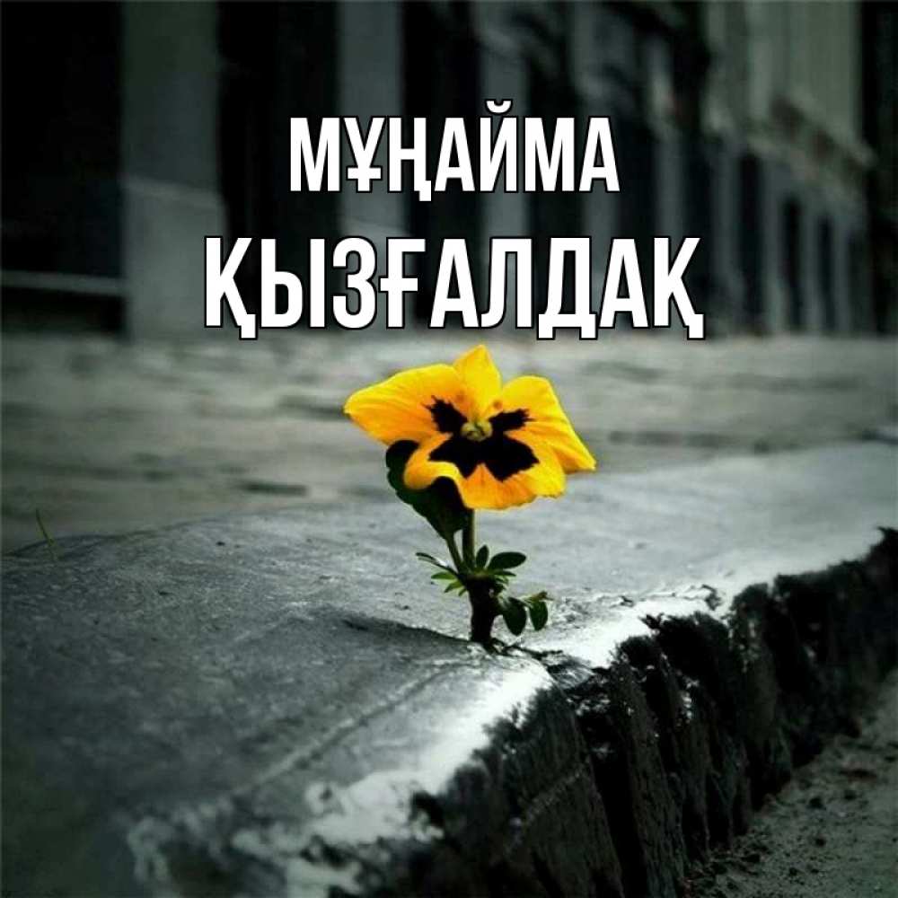 Күн сайын ашық хат с именем, ҚЫЗҒАЛДАҚ Мұңайма не сдавайся Онлайн тегін жүктеп алу тілектері бар керемет карта 