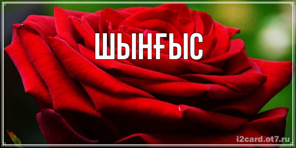 Картинка  с именем , ШЫНҒЫС! ТУҒАН КҮНІҢМЕН!