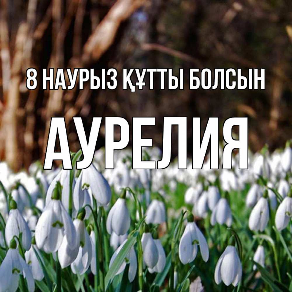 Күн сайын ашық хат с именем, Аурелия 8 наурыз құтты болсын с подснежниками 1 Онлайн тегін жүктеп алу тілектері бар керемет карта 