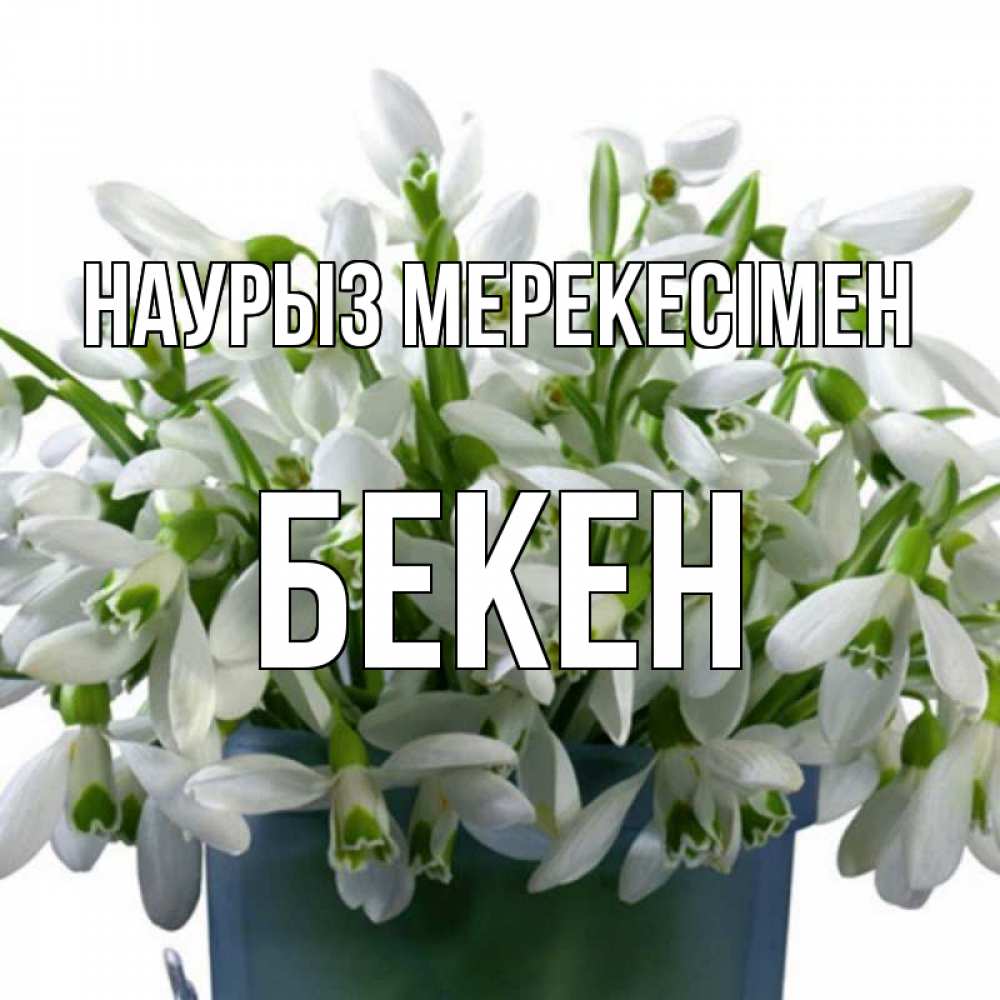 Күн сайын ашық хат с именем, Бекен Наурыз мерекесімен цветы к наурызу новый год в Казахстане Онлайн тегін жүктеп алу тілектері бар керемет карта 