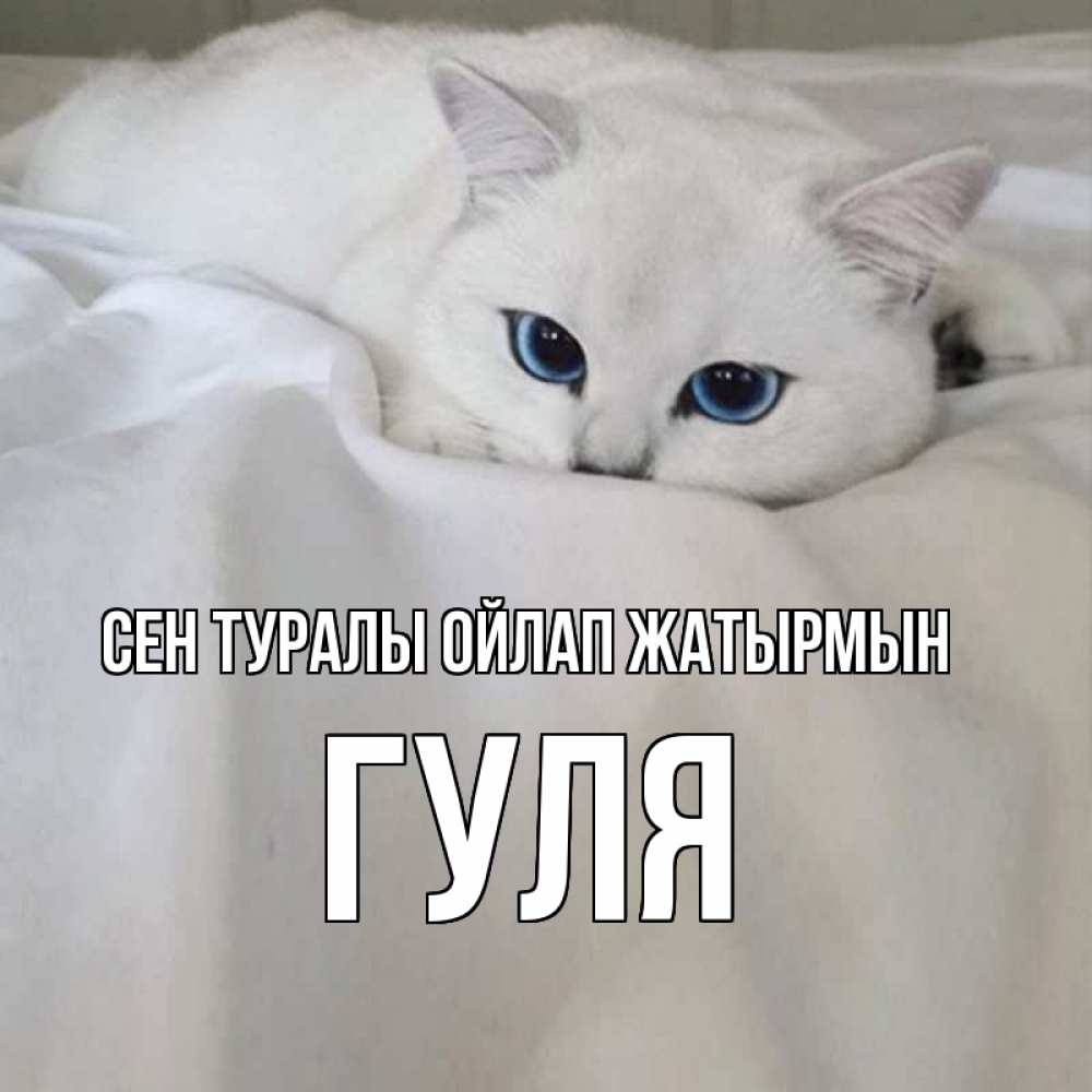 Күн сайын ашық хат с именем, Гуля Сен туралы ойлап жатырмын я очень по тебе скучаю и тоскую Онлайн тегін жүктеп алу тілектері бар керемет карта 