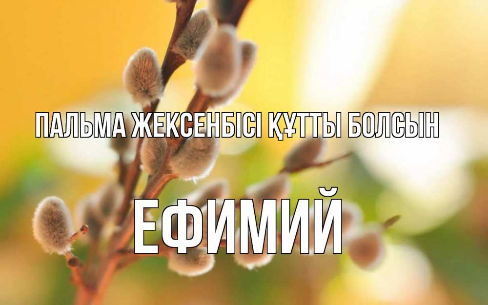 Күн сайын ашық хат с именем, Ефимий Пальма жексенбісі құтты болсын верба Онлайн тегін жүктеп алу тілектері бар керемет карта 