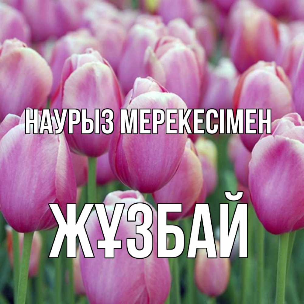 Күн сайын ашық хат с именем, Жұзбай Наурыз мерекесімен праздник весны наурыз 69 Онлайн тегін жүктеп алу тілектері бар керемет карта 