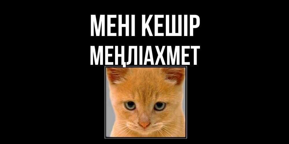 Күн сайын ашық хат с именем, МЕҢЛІАХМЕТ Мені кешір рыжий грустный кот просит прощения Онлайн тегін жүктеп алу тілектері бар керемет карта 