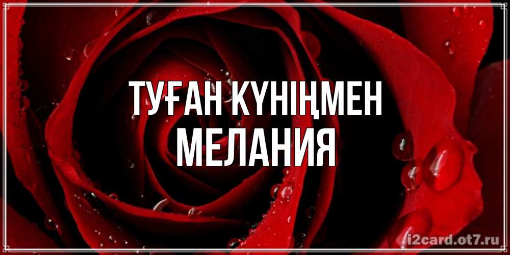Күн сайын ашық хат с именем, Мелания Туған күніңмен крупная бордовая роза Онлайн тегін жүктеп алу тілектері бар керемет карта 