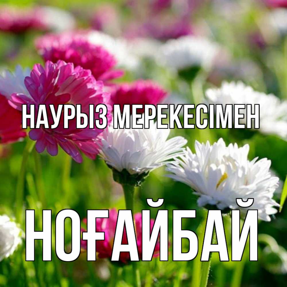 Күн сайын ашық хат с именем, НОҒАЙБАЙ Наурыз мерекесімен праздник весны наурыз красота Онлайн тегін жүктеп алу тілектері бар керемет карта 