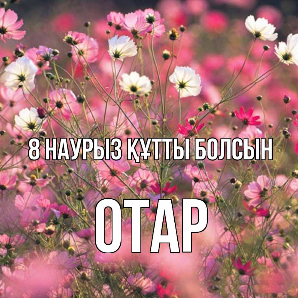 Күн сайын ашық хат с именем, ОТАР 8 наурыз құтты болсын красиво 1 Онлайн тегін жүктеп алу тілектері бар керемет карта 