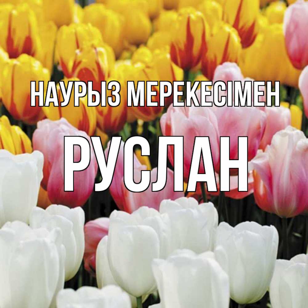 Күн сайын ашық хат с именем, РУСЛАН Наурыз мерекесімен разноцветные цветы Онлайн тегін жүктеп алу тілектері бар керемет карта 